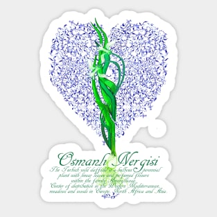 Osmanlı Nergisi Sticker